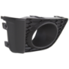 Picture of Fog Light Trim