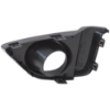 Picture of Fog Light Trim