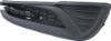 Picture of Fog Light Cover