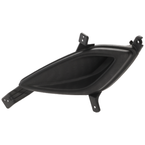 Picture of Fog Light Cover