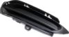 Picture of Fog Light Cover