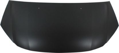 Picture of Hood