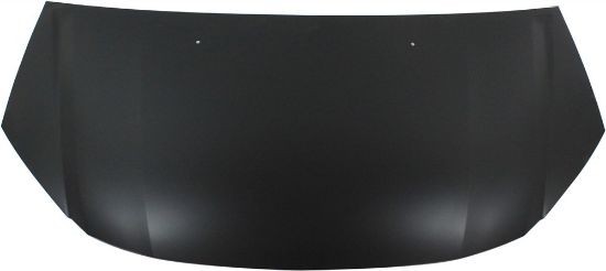 Picture of Hood