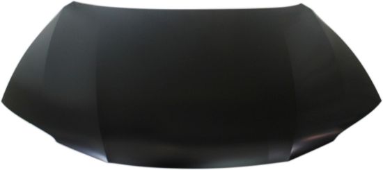 Picture of Hood