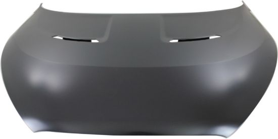 Picture of Hood