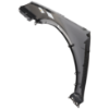 Picture of Fender