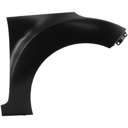 Picture of Fender