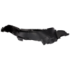 Picture of Fender Liner