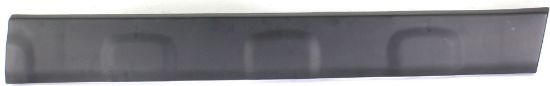 Picture of Door Molding and Beltlines