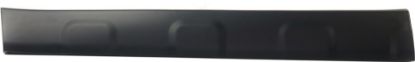 Picture of Door Molding and Beltlines