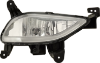 Picture of Fog Light