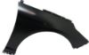 Picture of Fender