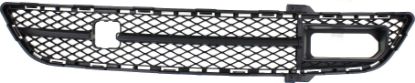 Picture of Bumper Grille