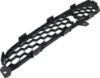 Picture of Bumper Grille