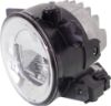 Picture of Fog Light