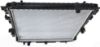 Picture of Radiator