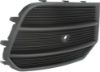 Picture of Bumper Grille