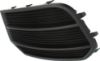 Picture of Fog Light Cover