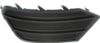 Picture of Fog Light Cover
