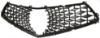Picture of Grille Assembly