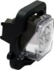 Picture of Fog Light