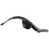 Picture of Fender Liner