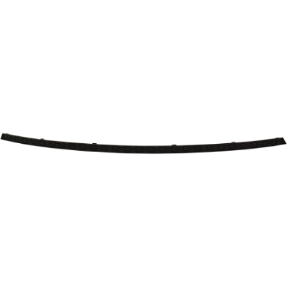 Picture of Bumper Trim