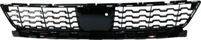 Picture of Bumper Grille