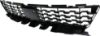 Picture of Bumper Grille