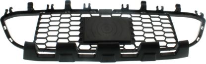 Picture of Bumper Grille