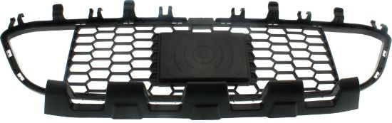 Picture of Bumper Grille