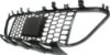 Picture of Bumper Grille