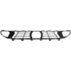 Picture of Bumper Grille