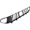 Picture of Bumper Grille