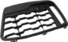 Picture of Bumper Grille