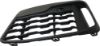 Picture of Bumper Grille