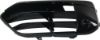 Picture of Bumper Grille