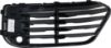 Picture of Bumper Grille