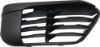Picture of Bumper Grille