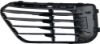 Picture of Bumper Grille