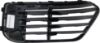 Picture of Bumper Grille