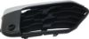 Picture of Bumper Grille