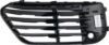 Picture of Bumper Grille