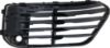 Picture of Bumper Grille