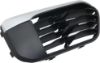 Picture of Bumper Grille