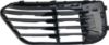 Picture of Bumper Grille