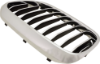 Picture of Grille Assembly