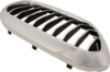 Picture of Grille Assembly