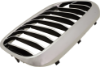 Picture of Grille Assembly
