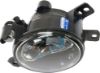 Picture of Fog Light